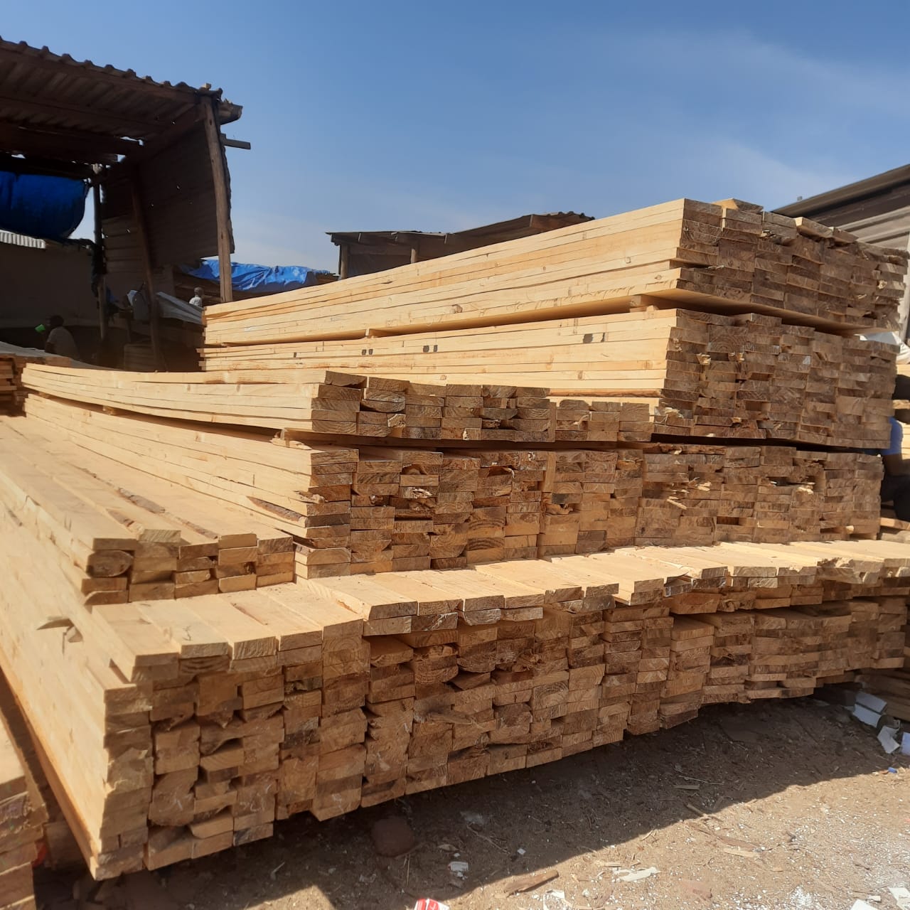 Roofing Timber Project